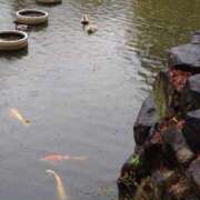 ヒメ日記 2026/01/21 12:03 投稿 うた Mother Complex～マザーコンプレックス～