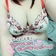 ヒメ日記 2025/12/23 01:35 投稿 ねる 丸妻 池袋店