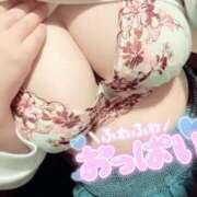 ヒメ日記 2026/02/12 19:47 投稿 ねる 丸妻 池袋店