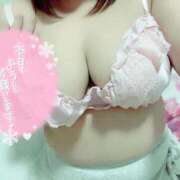 ヒメ日記 2026/02/16 16:02 投稿 ねる 丸妻 池袋店