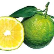 ヒメ日記 2025/11/17 16:14 投稿 真野あけみ 五十路マダム　和歌山店