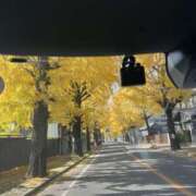 ヒメ日記 2025/11/27 16:16 投稿 真野あけみ 五十路マダム　和歌山店