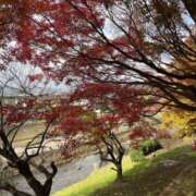 ヒメ日記 2025/12/02 16:00 投稿 真野あけみ 五十路マダム　和歌山店