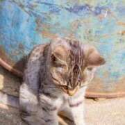 ちほ タイミングが😭😭😭 奥鉄オクテツ東京店（デリヘル市場）