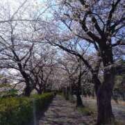 ヒメ日記 2026/04/03 11:48 投稿 もなこ 熟女の風俗最終章 沼津店