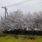 ヒメ日記 2026/04/05 10:58 投稿 もなこ 熟女の風俗最終章 沼津店