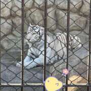 ヒメ日記 2025/12/01 20:01 投稿 ひびき One More 奥様　西川口店