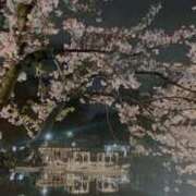 ヒメ日記 2026/03/31 22:40 投稿 ななみ 熟女の風俗最終章 西川口店