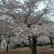 ヒメ日記 2026/04/01 14:30 投稿 ななみ 熟女の風俗最終章 西川口店