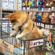 ヒメ日記 2025/11/14 16:04 投稿 めぐる 人妻倶楽部 内緒の関係 大宮店