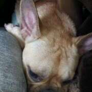 ヒメ日記 2025/12/31 18:34 投稿 めぐる 人妻倶楽部 内緒の関係 大宮店