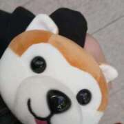 ヒメ日記 2025/11/28 14:34 投稿 めぐる 人妻倶楽部 内緒の関係 川越店