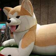 ヒメ日記 2025/12/14 10:24 投稿 めぐる 人妻倶楽部 内緒の関係 川越店