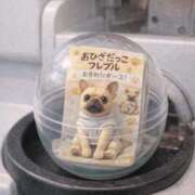 ヒメ日記 2025/12/25 15:11 投稿 めぐる 人妻倶楽部 内緒の関係 川越店