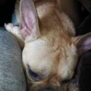 ヒメ日記 2025/12/31 18:42 投稿 めぐる 人妻倶楽部 内緒の関係 川越店