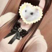 ヒメ日記 2025/12/27 17:22 投稿 れんか スピードエコ難波店