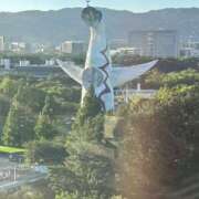 ヒメ日記 2026/03/20 19:32 投稿 れんか スピードエコ難波店