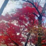 ヒメ日記 2026/03/22 18:12 投稿 れんか スピードエコ難波店