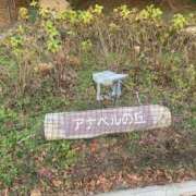 ヒメ日記 2026/03/24 07:22 投稿 れんか スピードエコ難波店