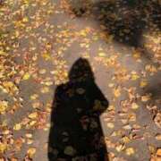 ヒメ日記 2025/11/28 15:12 投稿 なつめ NEW GENERATION