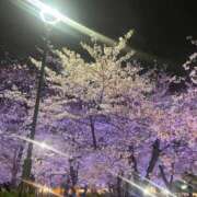 ヒメ日記 2026/03/31 09:54 投稿 らん 即アポマダム～名古屋店～