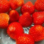 ヒメ日記 2026/03/11 01:21 投稿 らん 即アポ奥さん〜名古屋店〜