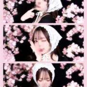 はづき 昨日はありがとうございました🤍 ごほうびSPA五反田店