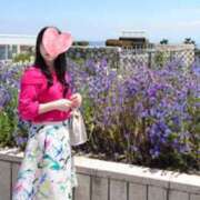 ヒメ日記 2026/05/12 09:00 投稿 本条さくら オトコのたしなみSPA