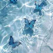 ヒメ日記 2025/12/18 10:07 投稿 ゆいか 半熟ばなな 品川