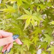 ヒメ日記 2026/04/25 07:27 投稿 ゆいか 半熟ばなな 品川