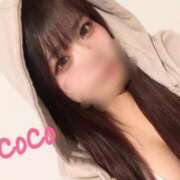 ヒメ日記 2026/02/04 10:30 投稿 ココ Ageha(アゲハ)