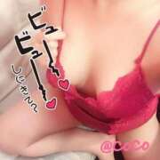 ヒメ日記 2026/02/04 14:33 投稿 ココ Ageha(アゲハ)