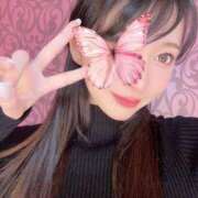 ヒメ日記 2026/01/08 12:00 投稿 もか 姫コレクション