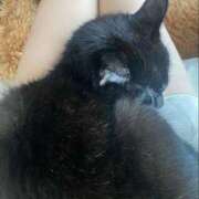 ヒメ日記 2025/12/21 15:00 投稿 せりな 奥鉄オクテツ東京店（デリヘル市場）