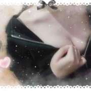 ヒメ日記 2025/11/14 12:02 投稿 めり 横浜シンデレラ（シンデレラグループ）