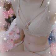 ヒメ日記 2025/11/24 09:33 投稿 めり 横浜シンデレラ（シンデレラグループ）