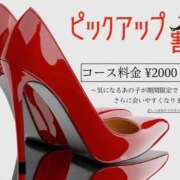 ヒメ日記 2025/11/18 13:41 投稿 みら サンキュー沼津店（サンキューグループ）