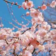 ゆきの こんばんは🌛 池袋人妻アデージョ