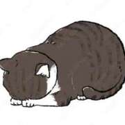 ヒメ日記 2026/10/13 10:59 投稿 ゆきの 池袋人妻アデージョ