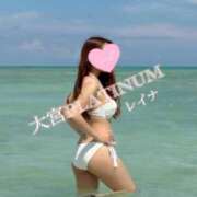 レイナ 出勤予定? PLATINUM