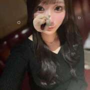 みさ よろちく🐈 ニューグランド