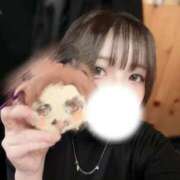 ヒメ日記 2025/11/28 15:56 投稿 みなみ 五反田人妻ヒットパレード（シンデレラグループ）