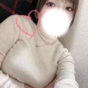 ヒメ日記 2025/12/12 12:02 投稿 みなみ 五反田人妻ヒットパレード（シンデレラグループ）