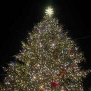 ヒメ日記 2025/12/17 14:26 投稿 みなみ 五反田人妻ヒットパレード（シンデレラグループ）