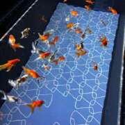 みなみ 今日出勤だよ！ 五反田人妻ヒットパレード（シンデレラグループ）