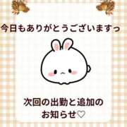 わかな 2月シフトは来週あたり日記あげます！ バッキンガム