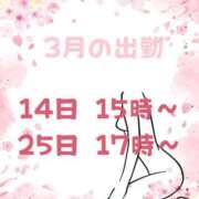 ヒメ日記 2026/03/14 15:11 投稿 わかな バッキンガム