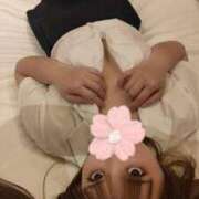 ヒメ日記 2026/04/01 11:40 投稿 まりん 風俗の神様　浜松店