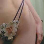 ヒメ日記 2025/12/12 23:59 投稿 れな 奥様の実話 谷九店