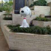 まこ まこです 奥鉄オクテツ神奈川店（デリヘル市場グループ）